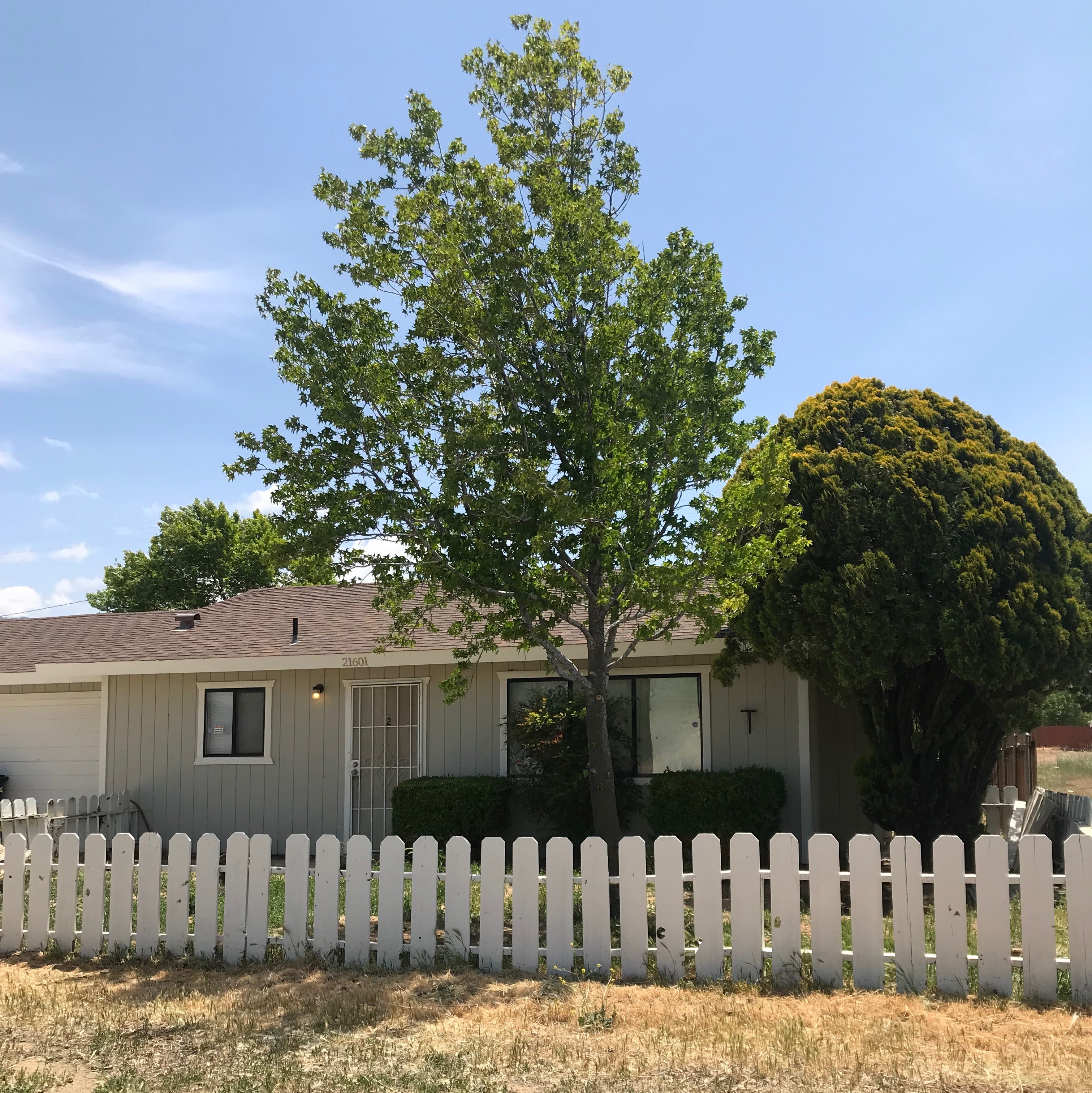 Rental Photo